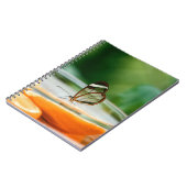 Carnet de photos (80 pages B & N) (Côté gauche)