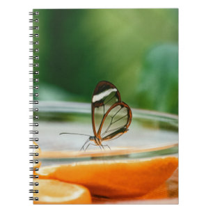Carnet de photos (80 pages B & N)