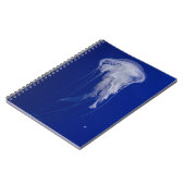 Carnet de photos (80 pages B & N) (Côté gauche)