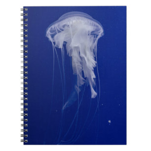 Carnet de photos (80 pages B & N)