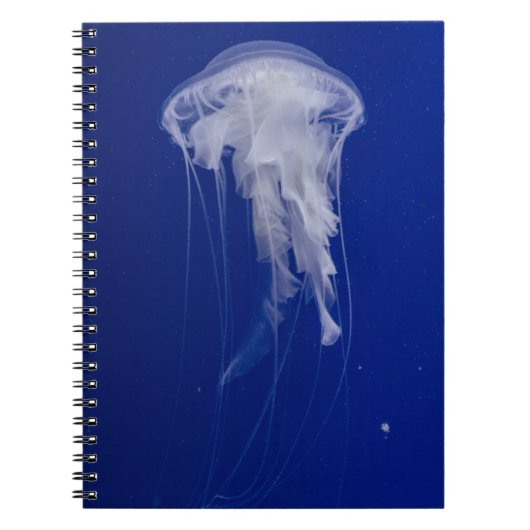 Carnet de photos (80 pages B & N) (Devant)