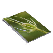 Carnet de photos (80 pages B & N) (Côté Droit)