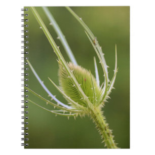 Carnet de photos (80 pages B & N)