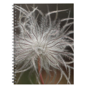 Carnet de photos (80 pages B&W)