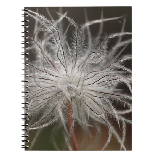 Carnet de photos (80 pages B&W) (Devant)