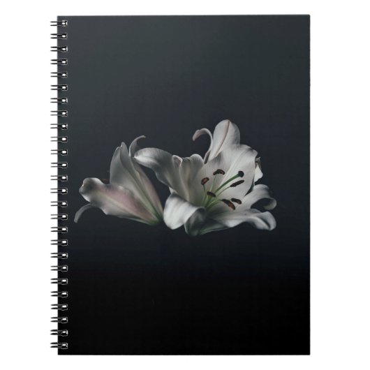 Carnet de photos (80 pages B&W) (Devant)