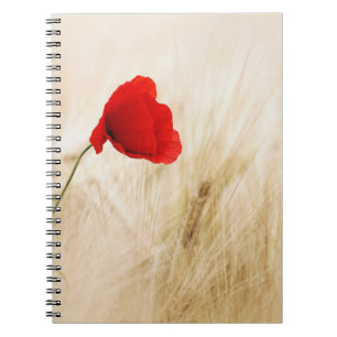 Carnet de photos (80 pages B&W)