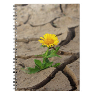 Carnet de photos (80 pages B&W)