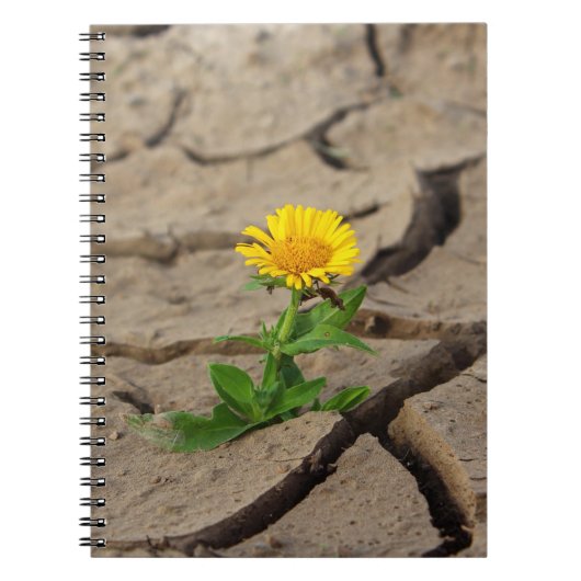 Carnet de photos (80 pages B&W) (Devant)