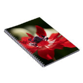 Carnet de photos (80 pages B&W) (Côté Droit)