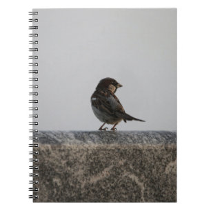 Carnet de photos (80 pages B&W)