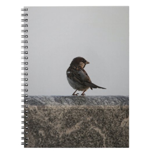 Carnet de photos (80 pages B&W) (Devant)