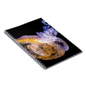 Carnet de photos (80 pages B&W) (Côté Droit)