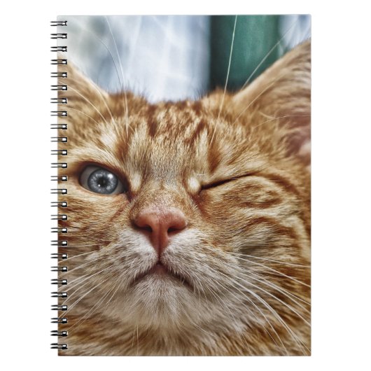 Carnet de photos (80 pages B&W) (Devant)