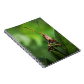 Carnet de photos (80 pages B&W) (Côté Droit)
