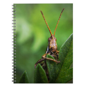 Carnet de photos (80 pages B&W)