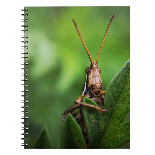 Carnet de photos (80 pages B&W) (Devant)