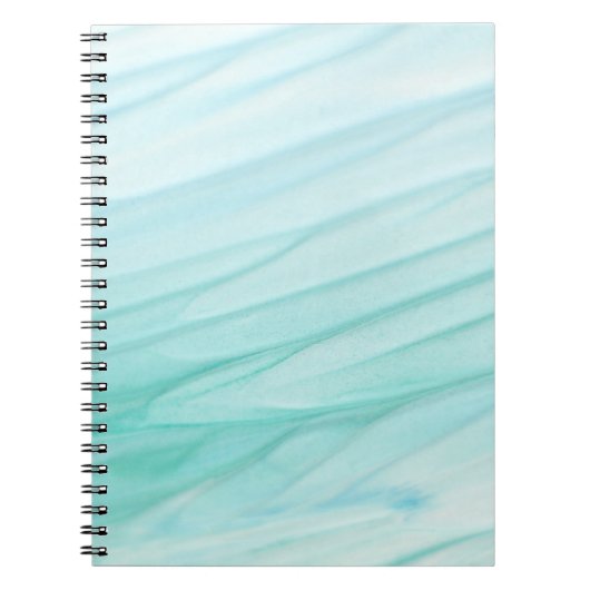Carnet de photos (80 pages B&W) (Devant)
