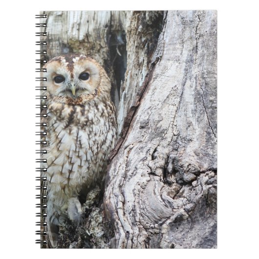 Carnet de photos (80 pages B&W) (Devant)