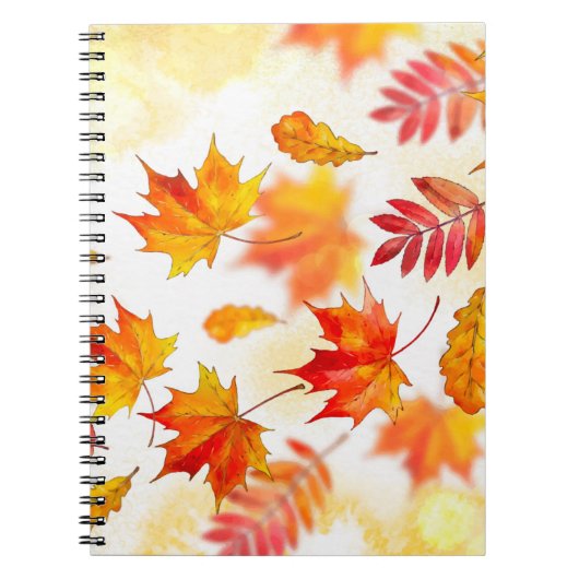 Carnet de photos (80 pages B&W) (Devant)