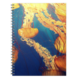 Carnet de photos (80 pages B&W)