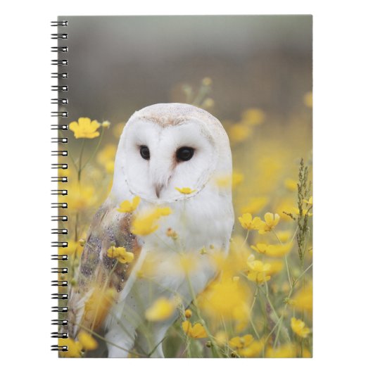 Carnet de photos (80 pages B&W) (Devant)