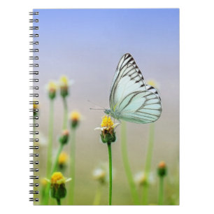 Carnet de photos (80 pages B&W)