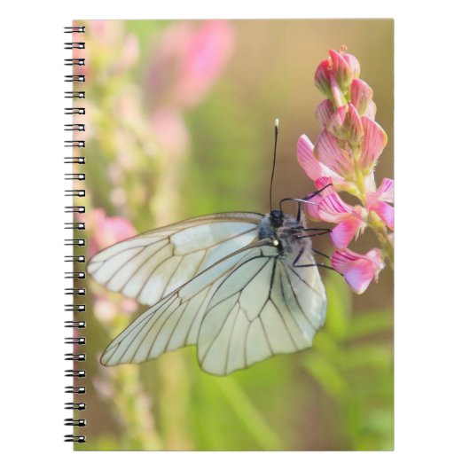 Carnet de photos (80 pages B&W) (Devant)