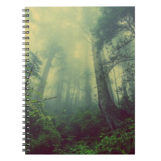 Carnet de photos (80 pages B&W) (Devant)