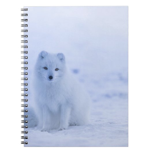 Carnet de photos (80 pages B&W) (Devant)