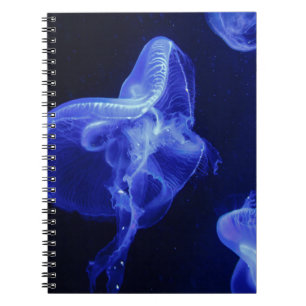 Carnet de photos (80 pages B&W)