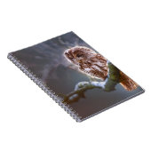 Carnet de photos (80 pages B&W) (Côté Droit)