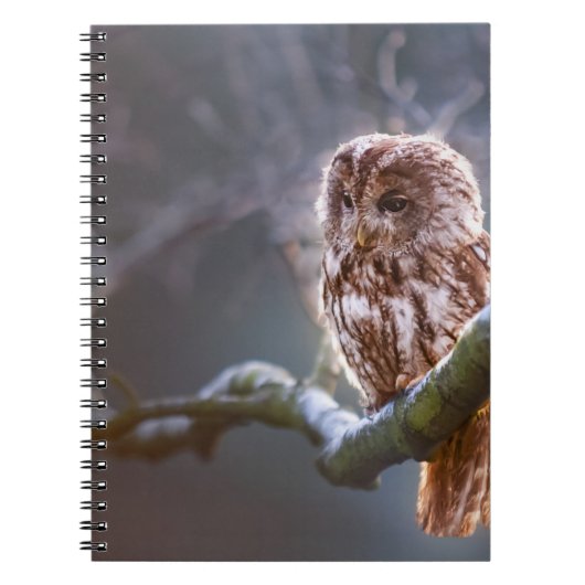 Carnet de photos (80 pages B&W) (Devant)