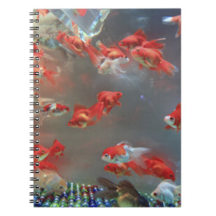Carnet de photos (80 pages B&W)