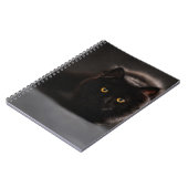 Carnet de photos (80 pages N&B) (Côté gauche)