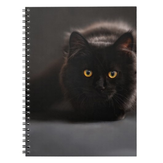 Carnet de photos (80 pages N&B) (Devant)