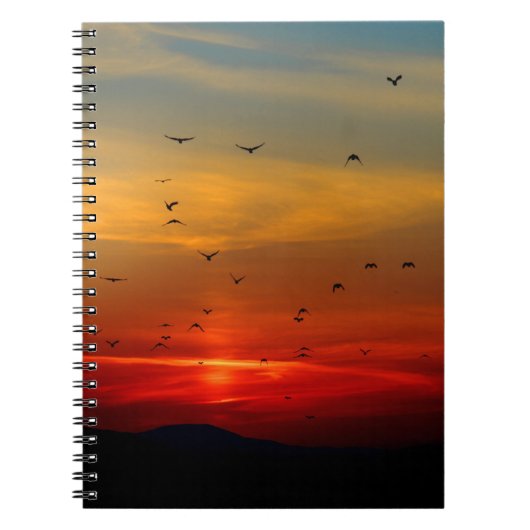Carnet de photos (80 pages N&B) (Devant)