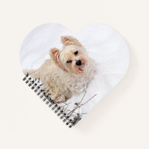 Carnet de photos de chien Westie blanc comme neige