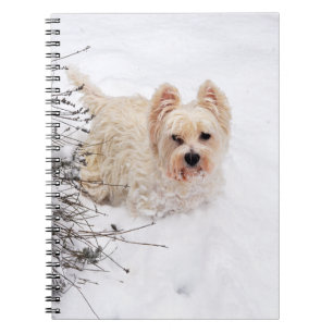 Carnet de photos de chien Westie blanc comme neige