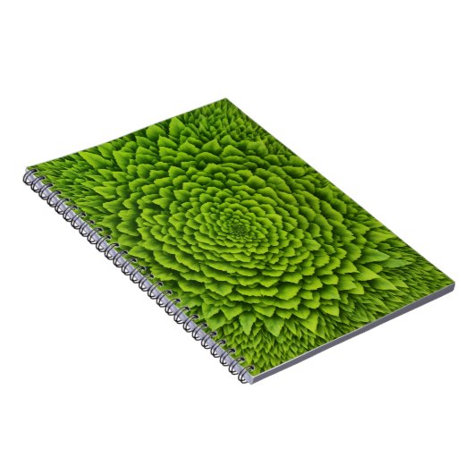 Carnet de photos en spirale (Côté Droit)