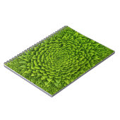 Carnet de photos en spirale (Côté gauche)