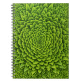 Carnet de photos en spirale (Devant)