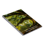 Carnet de photos en spirale d'arbre (Côté Droit)
