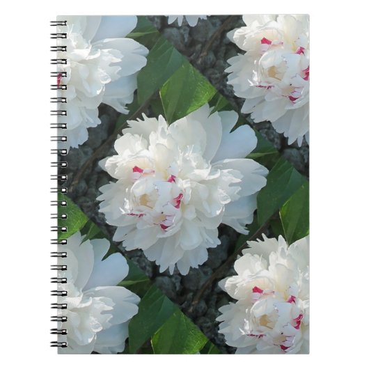 Carnet de pivoine multicoche (Devant)