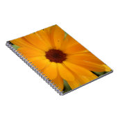 Carnet de pluie orange (Côté Droit)