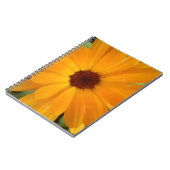 Carnet de pluie orange (Côté gauche)