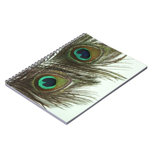 Carnet de plume de paon (Côté gauche)