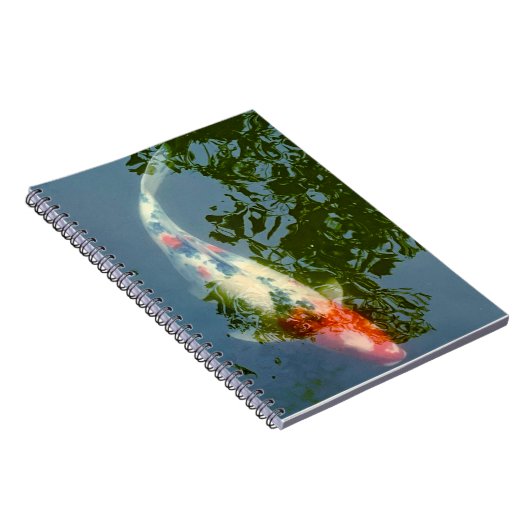 carnet de poisson (Côté Droit)