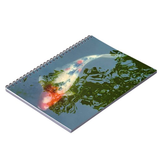 carnet de poisson (Côté gauche)