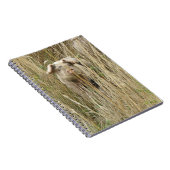 Carnet de porc mignon (Côté Droit)